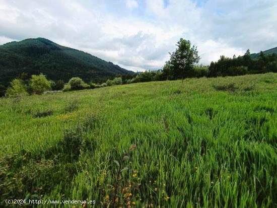 Venta  terreno rustico en Okondo - ALAVA