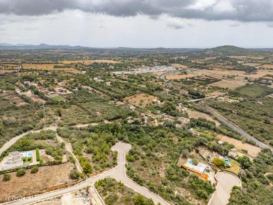 TERRENO URBANO EDIFICABLE EN PUIG DE SON TALENT - BALEARES