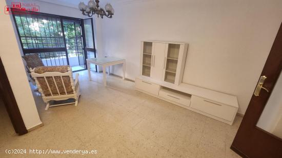 VIVIENDA JUNTO A PAGES DEL CORRO - SEVILLA