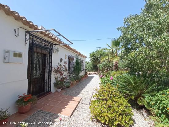 OFH-226 Spanish Cottage - MURCIA