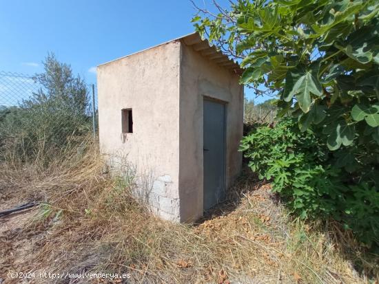 Estupenda finca rústica en Valle del Sol - MURCIA