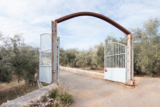  Magnifica finca 46 Hectáreas de la cual plantada de olivos, aproximadamente 43. - GRANADA 