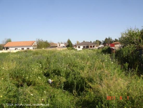 Parcela de Terreno con Pozo - CORDOBA