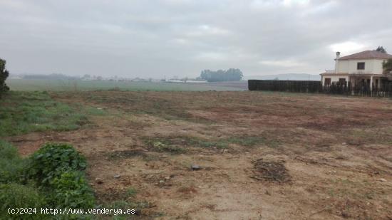  Parcela de terreno de 3.000 m2 con escrituras independientes del terreno y vallada. - CORDOBA 