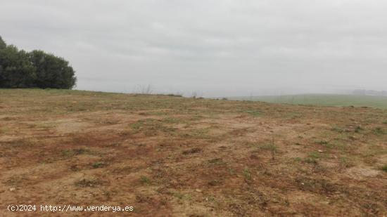 Parcela de terreno de 3.000 m2 con escrituras independientes del terreno y vallada. - CORDOBA