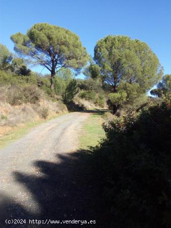 ZONA VILLARRUBIA - Finca rustica de 3 hectáreas con boca de riego y alcantarillado. - CORDOBA