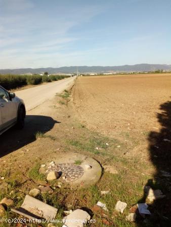 ZONA VILLARRUBIA - Finca rustica de 3 hectáreas con boca de riego y alcantarillado. - CORDOBA