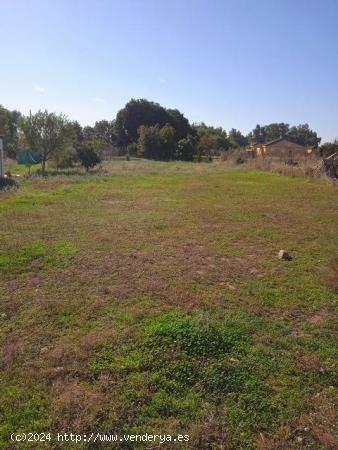 Parcela de terreno de 1.500 m2 por la urbanizacion Charco roto. - CORDOBA