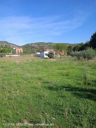 Parcela de terreno de 1.500 m2 por la urbanizacion Charco roto. - CORDOBA