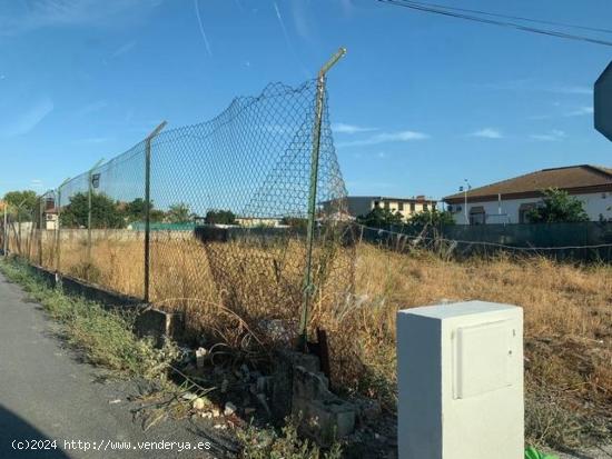 Parcela vacia de terreno de 1.000 m2 por la zona de La Barquera. - CORDOBA