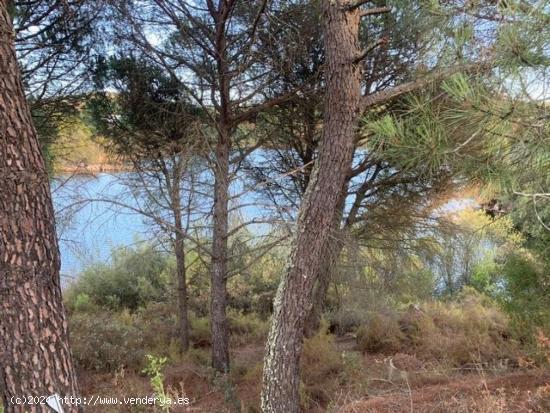 ZONA LAS JARAS. Parcela de terreno de 1154 m2 con punto de luz. - CORDOBA