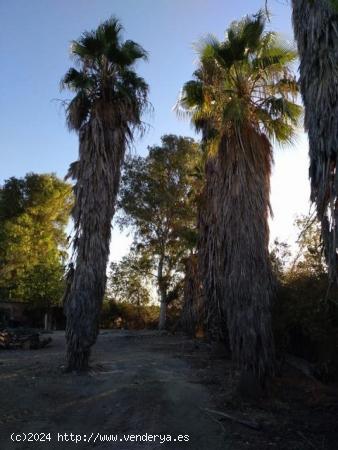 parcela de terreno - CORDOBA