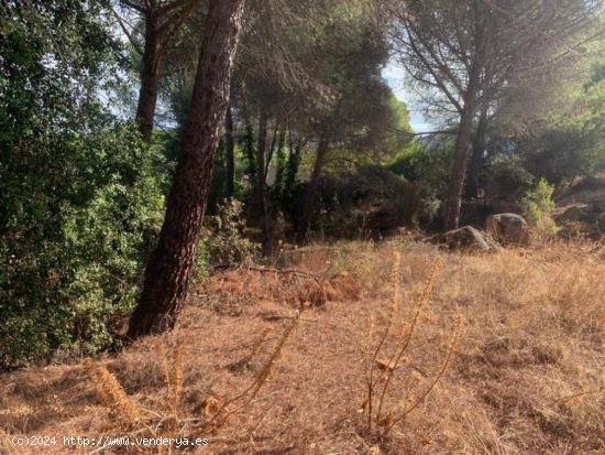 ZONA LAS JARAS - Parcela urbana de terreno de 1.500 m2 con punto de luz. - CORDOBA