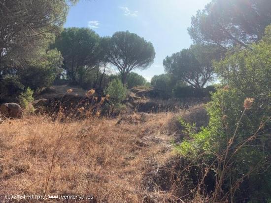 ZONA LAS JARAS - Parcela urbana de terreno de 1.500 m2 con punto de luz. - CORDOBA