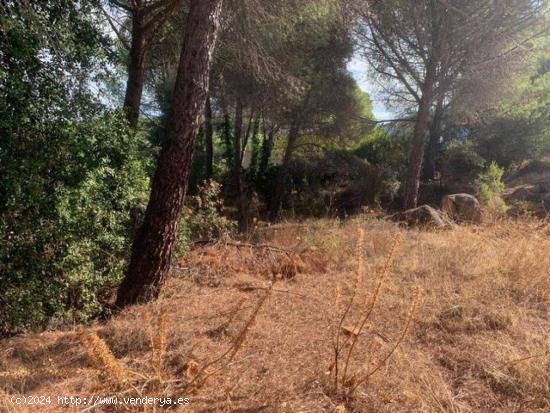 ZONA LAS JARAS - Parcela urbana de terreno de 1.500 m2 con punto de luz. - CORDOBA