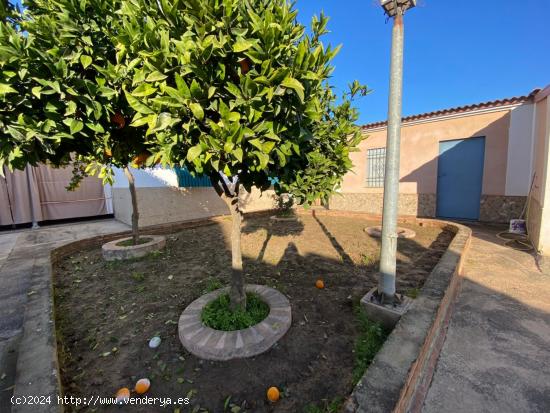 MAJANEQUE - Solar de 850 m2 con casa de unos 200m - Agua potable, luz, alcantarillado, NEGOCIABLE. -