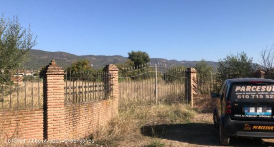  BONITA PARCELA EN ZONA MEDINA AZAHARA - CORDOBA 