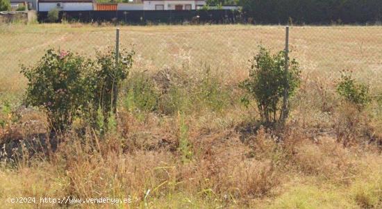 ZONA LA BARQUERA - Parcela de terreno de 1250 m2 con pozo - CORDOBA