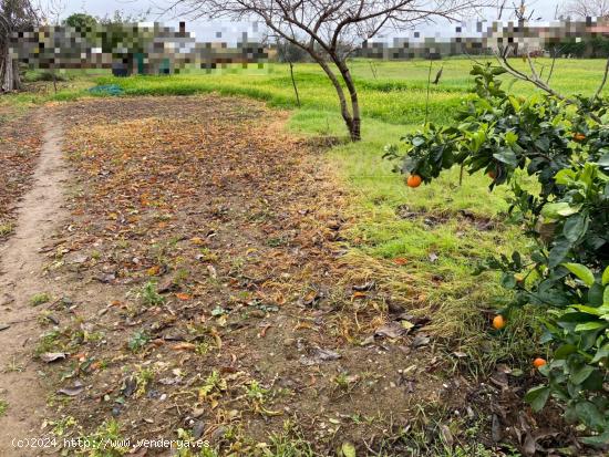 ZONA LA GORGOJA - Parcela de terreno de 4000m2. - CORDOBA