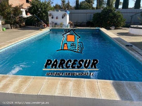 ZONA LA GORGOJA - Parcela de 1.000 m2 con casa de unos 110 m2 y piscina. - CORDOBA