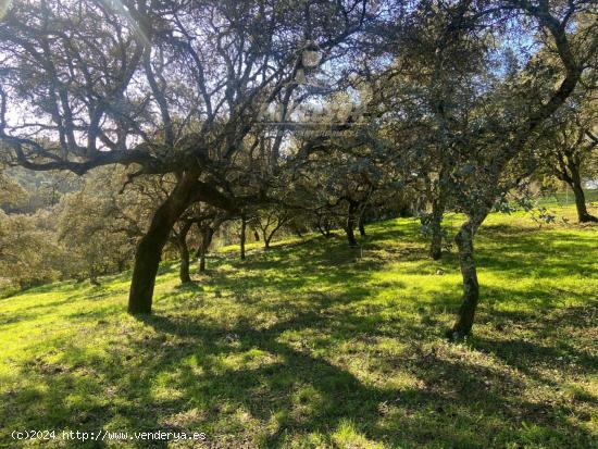 ZONA TRASSIERRA - Parcela de terreno de 3.150 m2 con escrituras. - CORDOBA