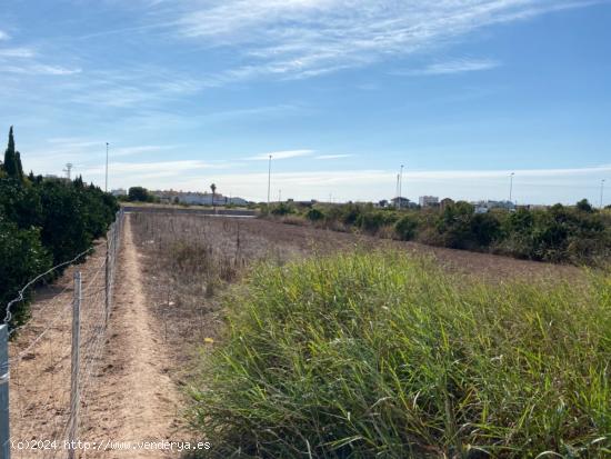 HUERTO EN MUSEROS - VALENCIA