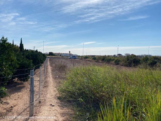 HUERTO EN MUSEROS - VALENCIA