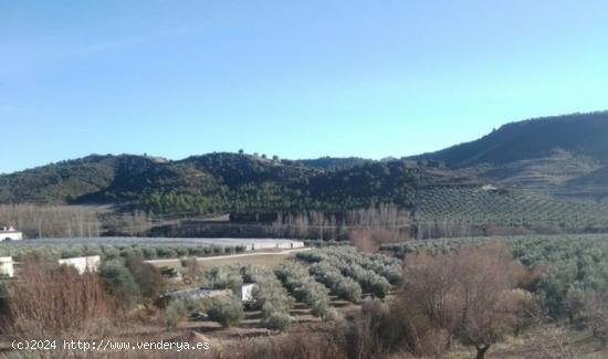 Terreno Rural en Jayena - GRANADA