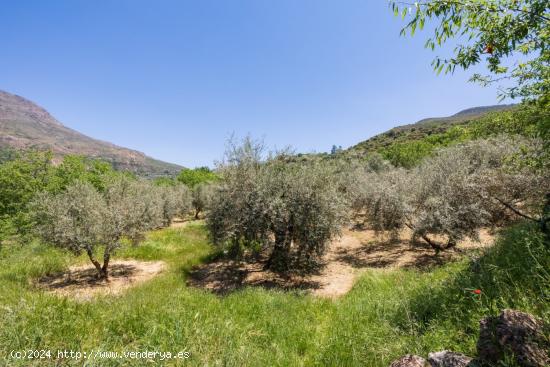 Finca Rustica en Guejar Sierra - GRANADA