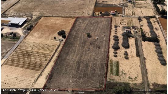  FINCA RÚSTICA EN PAGO DE HUMO - CADIZ 