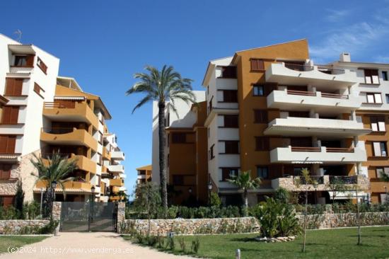 Apartamentos de obra nueva en Punta Prima, playa 50 metros - ALICANTE