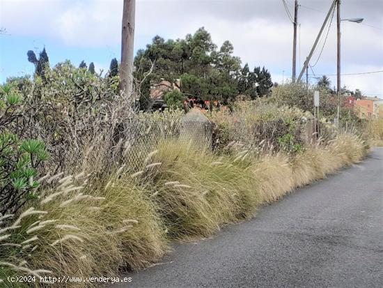 SE VENDE TERRENO EN TAFIRA - LAS PALMAS