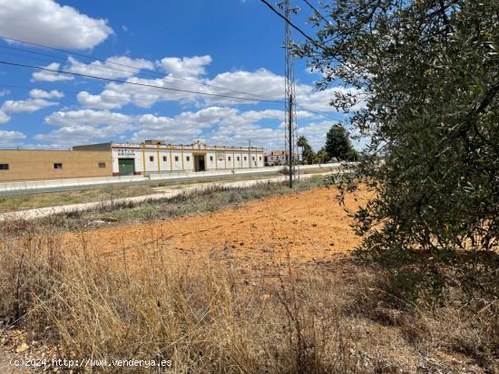 Terreno industrial a pie de autovía. Cerquísima de A92 - SEVILLA