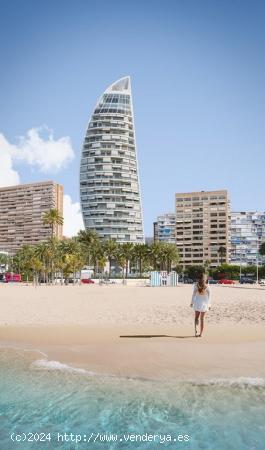 Apartamentos de lujo en Benidorm - ALICANTE