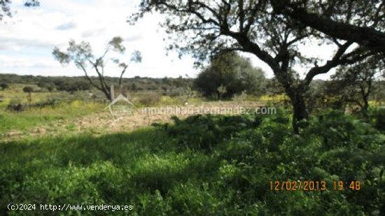 Se vende Parcela de 8.200 m2 vallado, en Arroyo de la Luz - CACERES