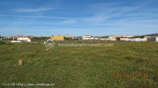 Parcelas de 1000 m2 - CACERES