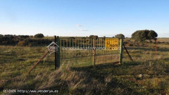  Se vende Finca en la Carretera de Badajoz - CACERES 