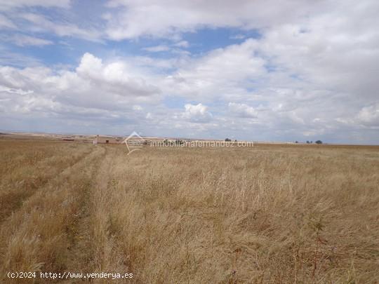  Se vende parcela en Cordel de Merinas - CACERES 