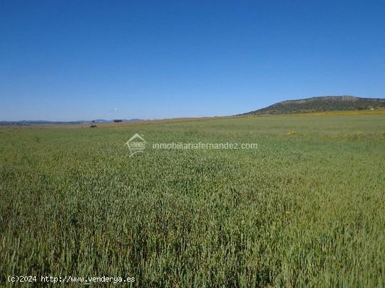 Se Vende en Sierra de Fuentes - CACERES