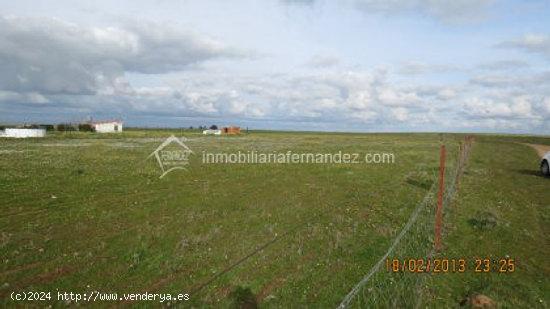 Parcela de 4000m2 semi vallada por el cordel cercana a Ctra. de Miajadas - CACERES