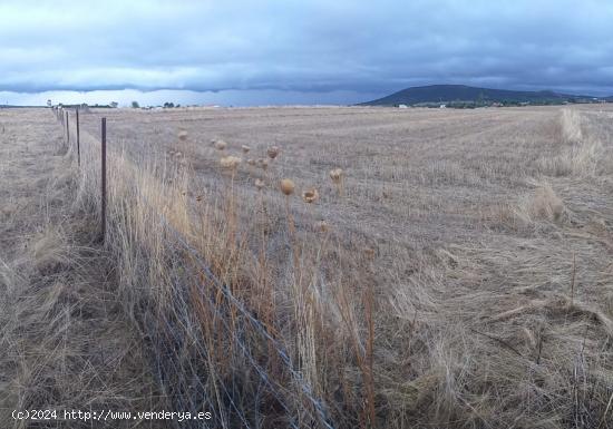 Parcela de 6100 m2 al lado del cordel en Sierra de Fuentes - CACERES