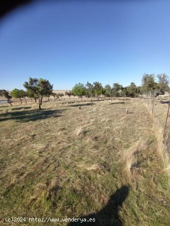 Finca Rústica en Carretera de Badajoz - CACERES