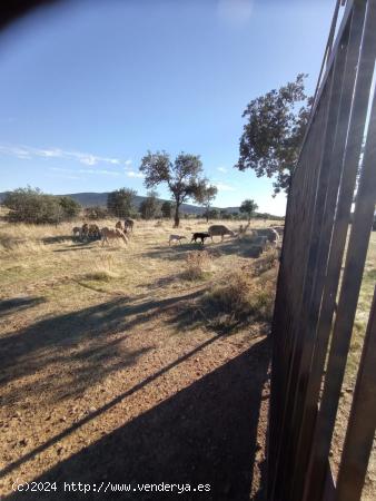 Finca Rústica en Carretera de Badajoz - CACERES