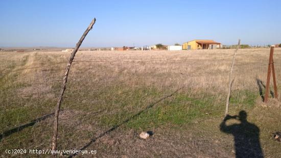  Parcela en Cordel de Merinas en oferta(Sierra de Fuentes) - CACERES 