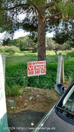 PARCELA VENTA TENTEGORRA PARA DOS VIVIENDAS - MURCIA