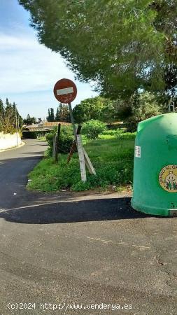 PARCELA VENTA TENTEGORRA PARA DOS VIVIENDAS - MURCIA