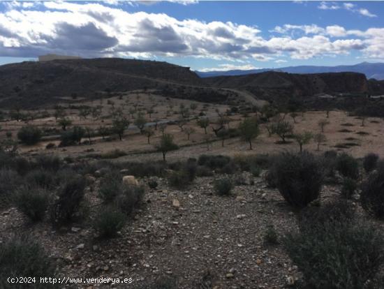 TROZO DE TIERRA EN ALBOX - ALMERIA