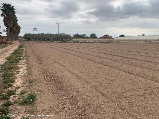 Se vende terreno rústico cerca de Algorós - ALICANTE