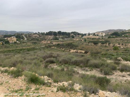  Terreno para cultivo (carretera de Aspe) - ALICANTE 