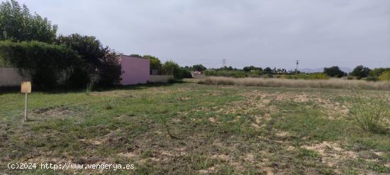 TERRENO RURAL EN VALVERDE - ALICANTE